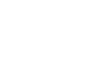 دليل green whale